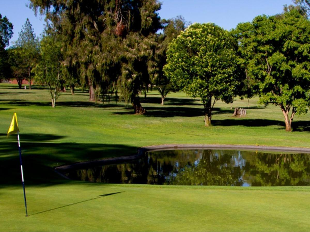 Tamarisk Guest Lodge 伯诺尼 外观 照片